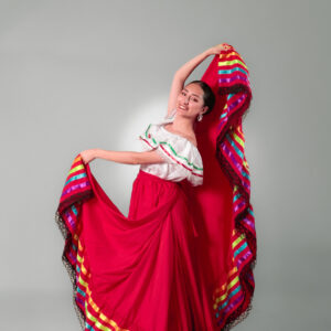 Falda folklórica doble circular - NEGRO OLAN AMARILLO